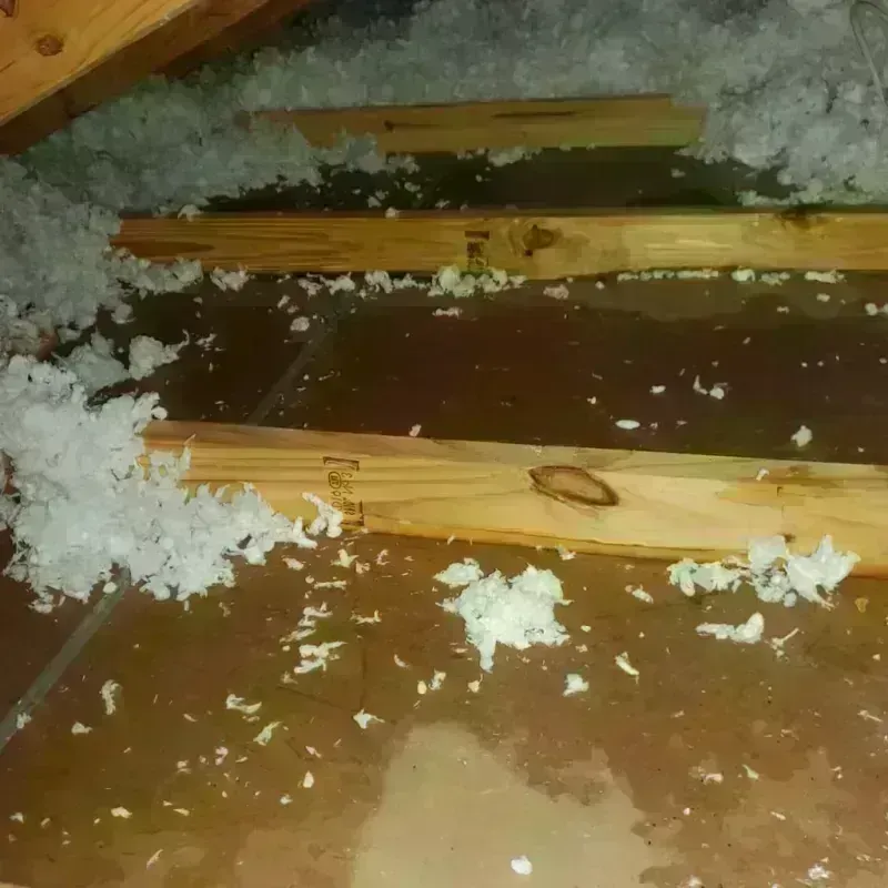 Attic Water Damage in Edcouch, TX