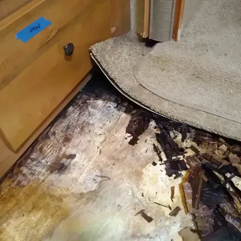 Wood Floor Water Damage in Edcouch, TX